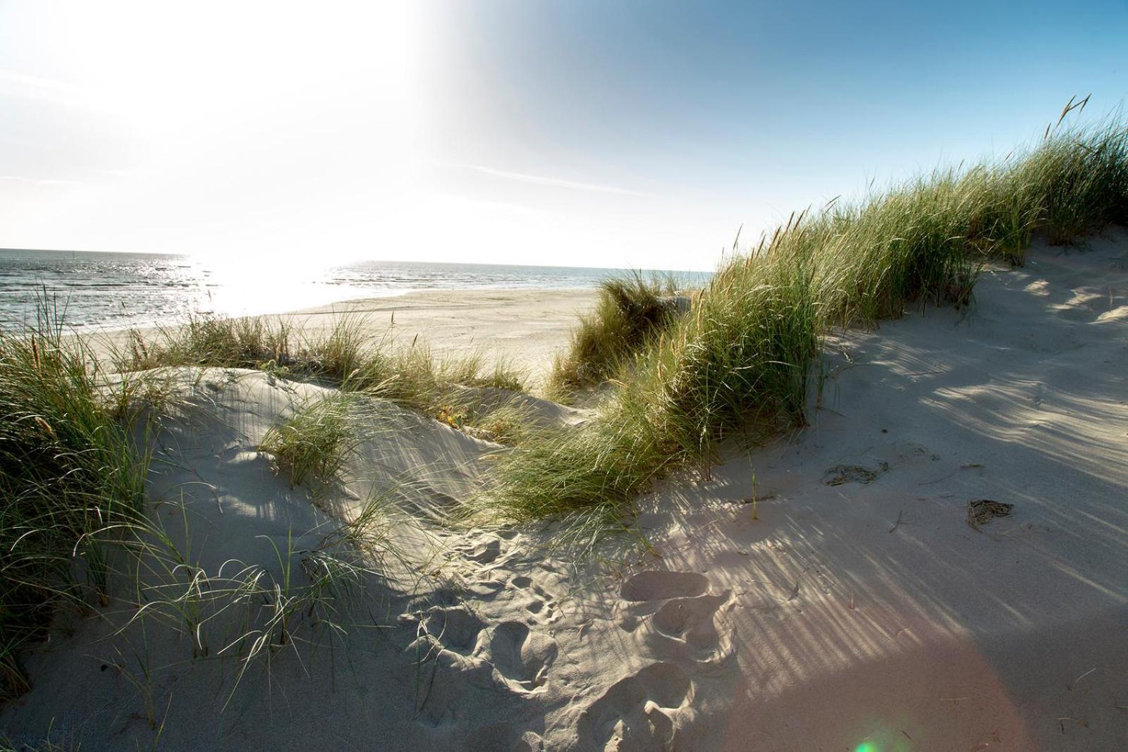 Barmouth Bay Holiday Park Llanddwywe Exteriör bild